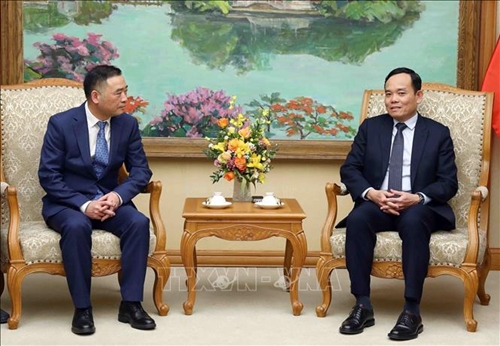Phó thủ tướng Trần Lưu Quang tiếp Chủ tịch Tập đoàn Sunny 